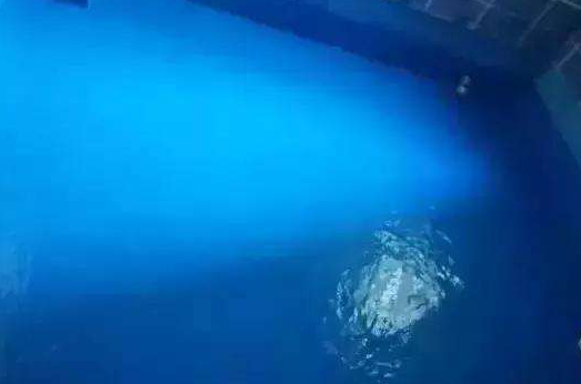 剛性防水怎么做,剛性防水材料常用有哪些？